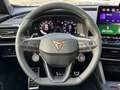 CUPRA Formentor 2.0 TSI DSG 4Drive VZ Matrix 360 Navi Sennheiser A Schwarz - thumbnail 10