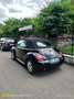 Volkswagen Beetle - thumbnail 5