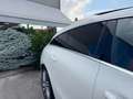 Mercedes-Benz CLA 220 d AUT. SHOOTING BRAKE PREMIUM *BICOLOR*TETTO*UNIPR Weiß - thumbnail 16
