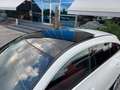 Mercedes-Benz CLA 220 d AUT. SHOOTING BRAKE PREMIUM *BICOLOR*TETTO*UNIPR Weiß - thumbnail 6