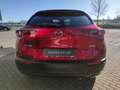 Mazda CX-30 SELECTION 360° Matrix Lenkradheizg BOSE LogIn Klim Rojo - thumbnail 4