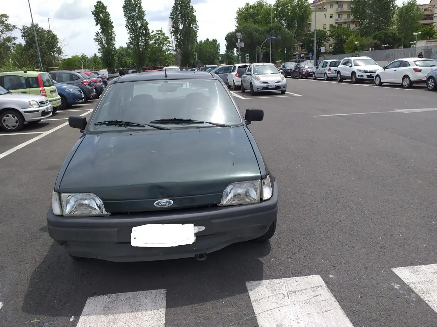 Ford Fiesta 3p 1.1i Newport - 1