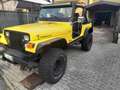 Jeep Wrangler Wrangler YJ 4L-GPL Jaune - thumbnail 5