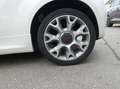 Fiat 500 0,9 TwinAir Turbo Sport Weiß - thumbnail 10