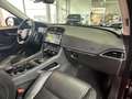 Jaguar F-Pace R-Sport AWD LED LEDER ACC 360° PANO Zwart - thumbnail 10
