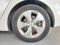 Kia Carens 1.7CRDi Eco-Dynamics Concept 115 Weiß - thumbnail 22