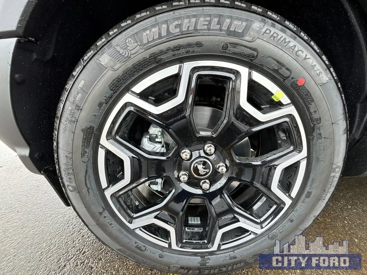 Ford Bronco Sport fotografie Ford Bronco Sport