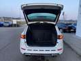 CUPRA Ateca 2.0 TSI DSG 4-DRIVE 360-KAMERA+PAKET-XL+EL Weiß - thumbnail 12