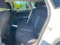 Volkswagen Polo 1.0 TSI Edition Plus +2 anni/40.000km garanzia Wit - thumbnail 8