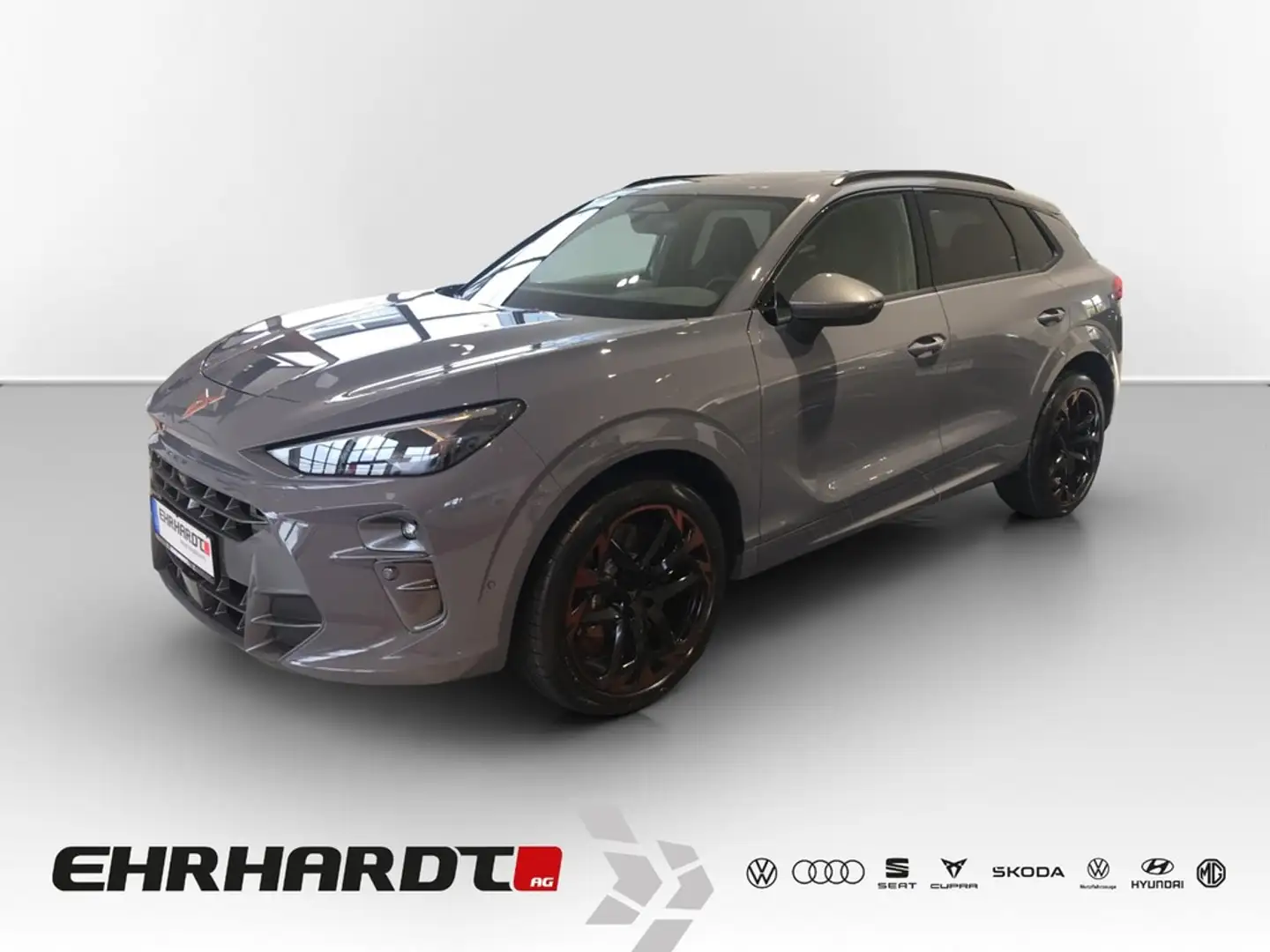 CUPRA Terramar 2.0 TSI DSG 4Drive VZ COPPER DCC AKEBONO*PANO*M... Grau - 1