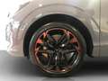 CUPRA Terramar 2.0 TSI DSG 4Drive VZ COPPER DCC AKEBONO*PANO*M... Grau - thumbnail 18