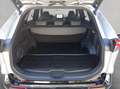 Toyota RAV 4 Plug-in-Hybrid Style Argintiu - thumbnail 5