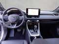 Toyota RAV 4 Plug-in-Hybrid Style Argintiu - thumbnail 13