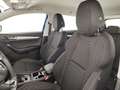 Skoda Karoq 1.0 TSI 110 CV Executive Bleu - thumbnail 9