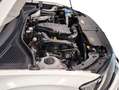 Volkswagen T-Roc 1.0 TSI Advance Blanco - thumbnail 29