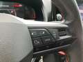 SEAT Ibiza FR 1.0 TSI Grau - thumbnail 12