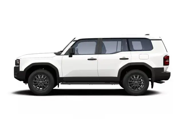 Toyota Land Cruiser view 5