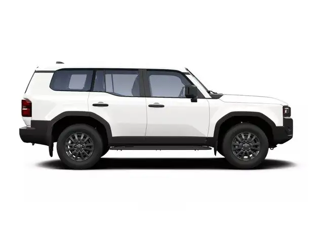 Toyota Land Cruiser view 6