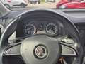 Skoda Karoq Ihr Skoda Vertragshändler Gris - thumbnail 13