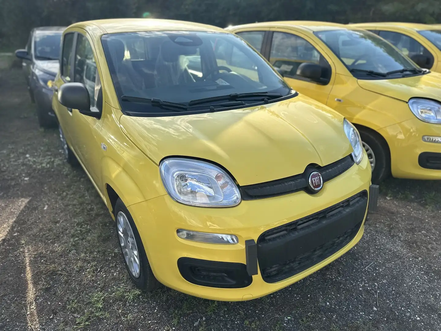 Fiat Panda Panda 1.0 FireFly S&S Hybrid Pop Jaune - 2