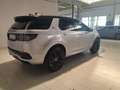 Land Rover Discovery Sport 2.0D TD4 MHEV R-Dynamic HSE AWD Auto 163 Gris - thumbnail 6