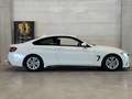BMW 420 420 xDrive Österreich-Paket Coupe Weiß - thumbnail 6