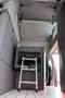 Ford Custom Camper NUGGET Active 320/L2 0,99% FIN AHK Rouge - thumbnail 11
