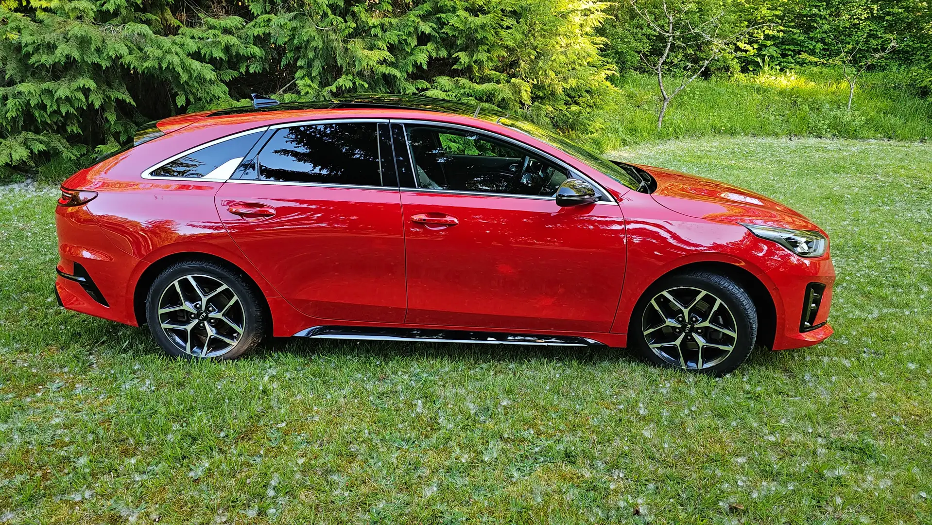 Kia ProCeed / pro_cee'd Proceed 1.6CRDI GT Line DCT GT Line Rojo - 1