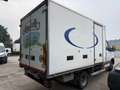 Iveco Daily 50C15/3.0/ISOMETRICO/FRBX/ATP VALIDO 2026 Bianco - thumbnail 4