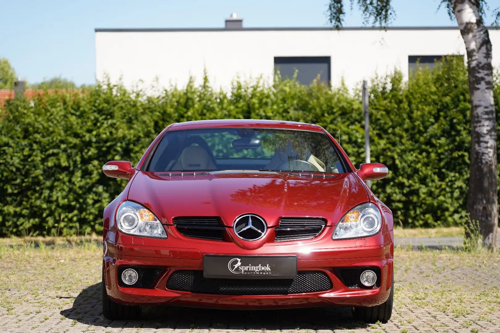 Mercedes-Benz SLK 55 AMG Rot - 2