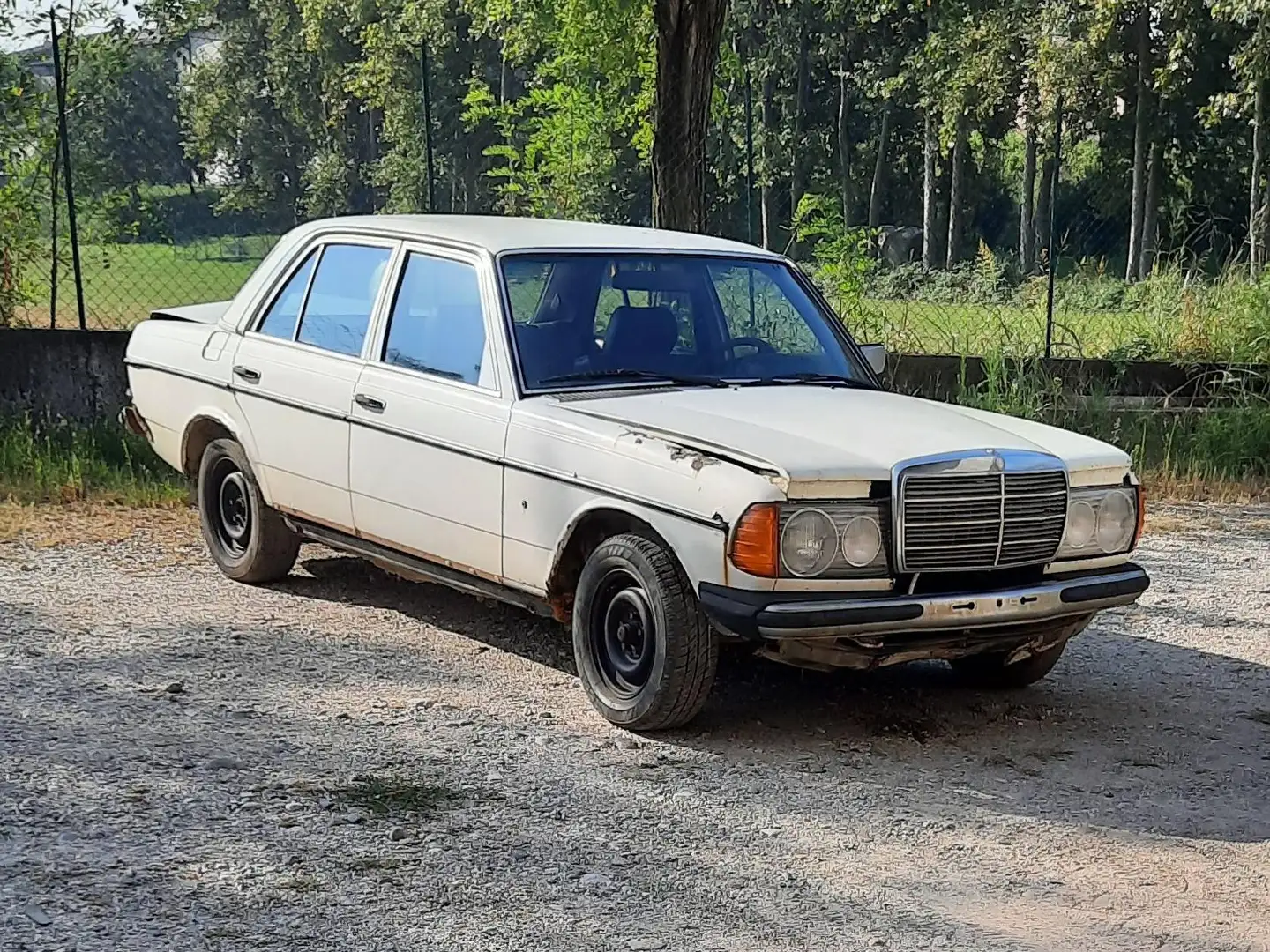 Mercedes-Benz 240 diesel Weiß - 2