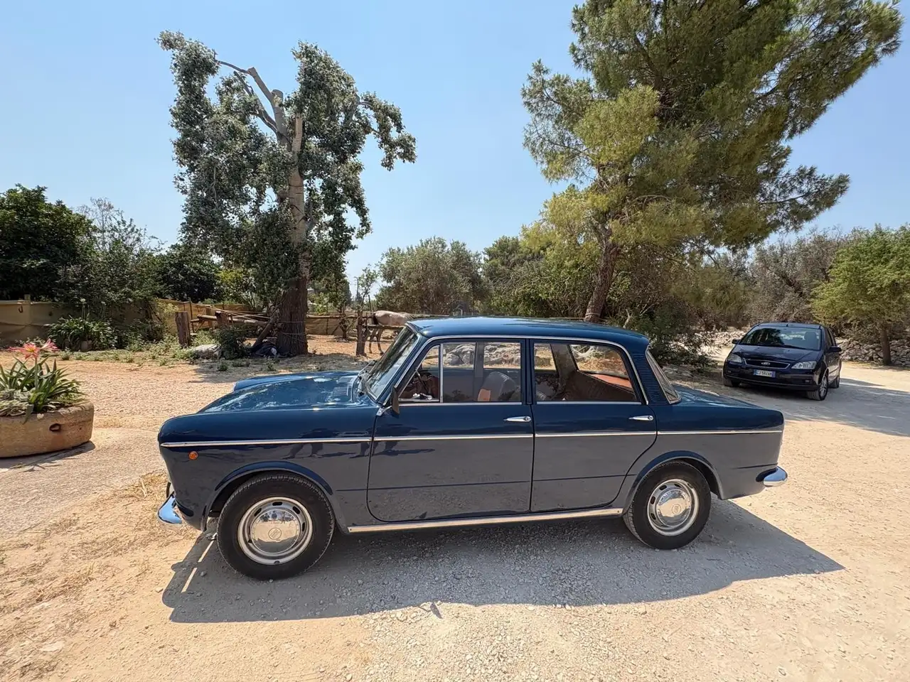 Fiat 1100, foto 2