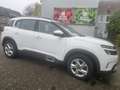 Citroen C5 Aircross C5 Aircross  130 S Weiß - thumbnail 5