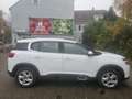 Citroen C5 Aircross C5 Aircross  130 S Weiß - thumbnail 2