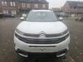 Citroen C5 Aircross C5 Aircross  130 S Weiß - thumbnail 3