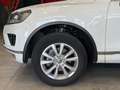 Volkswagen Touareg V6 TDI BMT/Start-Stopp 4Motion Weiß - thumbnail 4