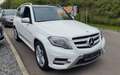 Mercedes-Benz GLK 220 CDI BlueEfficiency +AMG Paket+AHK +Navi++ Bílá - thumbnail 4