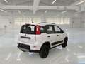 Fiat Panda 0.9 TwinAir Turbo 85cv Wild 4x4 5 PORTE - thumbnail 4