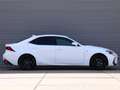 Lexus IS 300 300h Hybrid F-Sport Line *Mark Levinson*Adaptive C Blanc - thumbnail 7