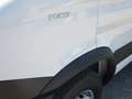 Iveco Daily 70C17 3000 170CV E5 CENTINA DA 4.50 M PATENTE C Alb - thumbnail 7