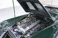Jaguar XK 120 Roadster restauriert Topzustand Vert - thumbnail 17