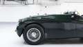 Jaguar XK 120 Roadster restauriert Topzustand Vert - thumbnail 9
