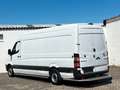 Mercedes-Benz Sprinter 316 Maxi L3H2 Benzin/Cng Automatik Eur6 Weiß - thumbnail 2