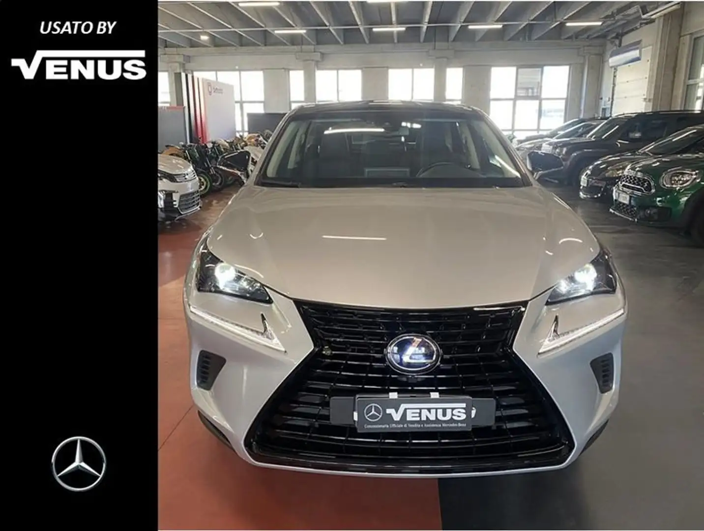 Lexus NX 300 Hybrid 4WD Sport Plateado - 1