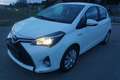 Toyota Yaris 1,5 VVT-i Hybrid Lounge Weiß - thumbnail 2