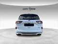 Ford Kuga 2.5 PHEV ST-line Design Bianco - thumbnail 7