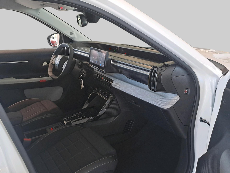 Citroen C3 Max | 17" lichtmetalen velgen met 'Atacamite' 205/ — photo 13