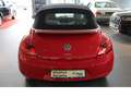 Volkswagen Beetle 2.0 TDI Cabriolet Sport SHZ*NAVI*DSG* Rouge - thumbnail 6