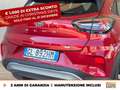 Ford Puma 1.0 ecoboost h titanium x s&s 125cv Roşu - thumbnail 19