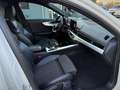Audi A4 Avant 40 2.0 tdi S Line edition quattro 190cv s-tr - thumbnail 12